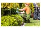 Best Landscaping Services in Ravenscliffe