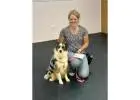 Top Dog Obedience Specialist in Mitchell