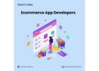 Hire Expert eCommerce App Developers Today