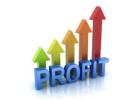 Do you want to start a fully automated business online for as low as $100 to make 100% Profit?