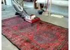 Best Carpet Cleaning in Rochester Hills for Homes & Offices