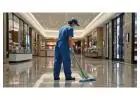Your Local Carpet Steam Cleaning Williamstown Team for Spotless Results