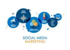 Seeking Best Social Media Marketing Company Jaipur?