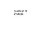 Same Day Flower Delivery Sunshine -  Blossom of Wyndham