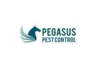 Pegasus Pest Control