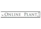 Online Plants