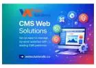 Web Solutions LLC | Custom CMS Web Solutions
