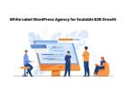 White Label WordPress Agency for Scalable B2B Growth