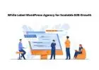 White Label WordPress Agency for Scalable B2B Growth