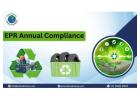 Expert EPR Annual Compliance for Regulatory Reporting | Exim Advisory