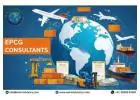 Professional EPCG Consultants for Exporters - Exim Advisory