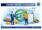 Expert Export Import Consultant Services – Exim Advisory
