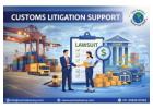 Customs Litigation Support for Importers and Exporters - Exim Advisory