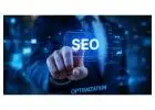SEO Services in California for Sustainable Business Growth