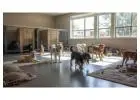 Dog Boarding Services