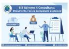 BIS Scheme X Consultant & Compliance | Exim Advisory