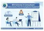 BIS Scheme X Consultant & Compliance | Exim Advisory