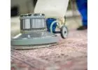 Get Eco-Friendly Cleanups with Carpet Cleaner Near Me