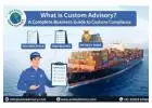 Strategic Custom Advisory for Indian Businesses | Exim Advisory