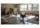 Dog Boarding Services
