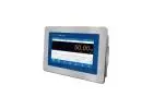 Weighing Controller for Bulk Scale