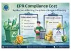 EPR Compliance Cost and Budget Planning | Exim Advisory