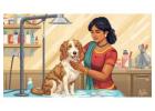 Pet Grooming Service at Home