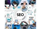 Boost Rankings with Expert SEO Services Florida Businesses Trust