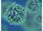 Immunotherapy Cancer Treatment in Delhi NCR
