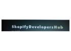 custom shopify development in delhi | shopify company in delhi