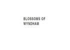 Florist Tarneit - Blossoms of Wyndham