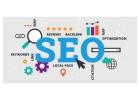 Top SEO Experts in Noida for Business Growth