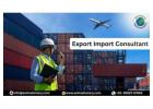 Top Export Import Consultant for Benefits | Exim Advisory