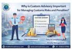 Custom Advisory Services Guide | Exim Advisory