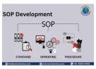 SOP Development Guide for Businesses | Exim Advisory