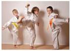 Taekwondo Toddler Classes​