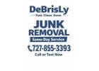 Need Junk Gone TODAY? Call DeBrisLy – 727-855-3393