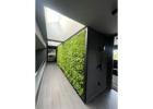 Dense Artificial Plant Hedge for Instant Green Privacy