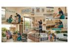 Pet Grooming Service at Home