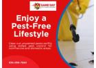 Same Day Pest Control Woodend – Fast, Safe, and Reliable Pest Solutions