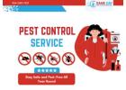 Same Day Pest Control Mitcham – Fast, Safe & Reliable Pest Solutions
