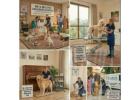Pet Grooming Service at Home