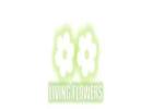 Same Day Flower Delivery Flemington