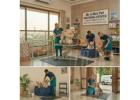 Pet Grooming Service at Home