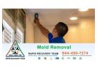 Safe & Fast Mold Removal for South Florida Homes