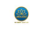 Ready to Invest in Digital Gold With AIIONGOLD