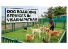 Dog Boarding Services