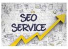 Expert Search Engine Optimization Services Delhi NCR