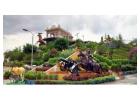 Rajasthan Holiday Package | Family, Couple & Group Tours