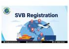 Exim Advisory Expert Services for SVB Registration